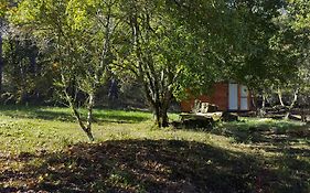 Agricampeggio Madonna Di Pogi